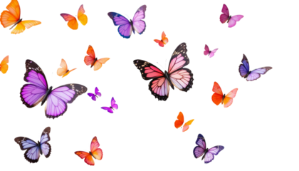 Colorful butterflies flutter