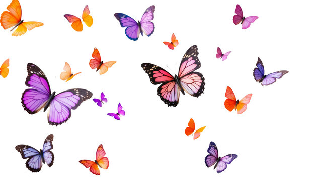 Colorful butterflies flutter