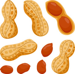 Peanuts on white background. Whole and peeled peanuts, tasty snack nuts isolated on white background. Vector illustration