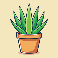 Aloe vera plant vector illustration on a white background