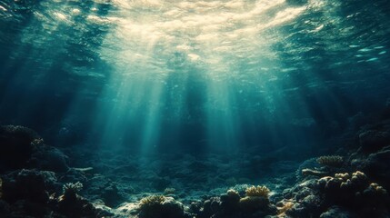 Fototapeta premium Pristine Marine Environment with Natural Light