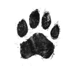 Grunge Style Dog Pawprint Illustration 