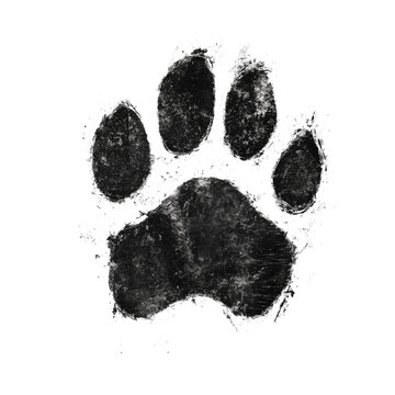 Grunge Style Dog Pawprint Illustration 