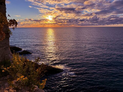Sea, yellow flowers on beach and beautiful sunset sky.