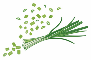 Falling green onion slices, cut chives isolated on white background.