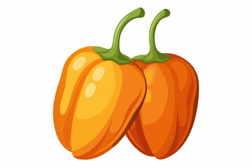 Two orange habanero peppers isolated on white background.