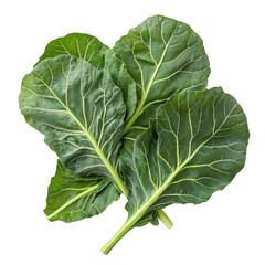 Green Collard Leaves Background on transparent background.