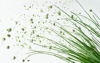 Chives mid-air with delicate green splashes.