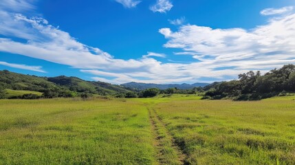 Obraz premium Lush Green Meadow Trail with Mountain Backdrop under a Clear Blue Sky with Wispy Clouds.