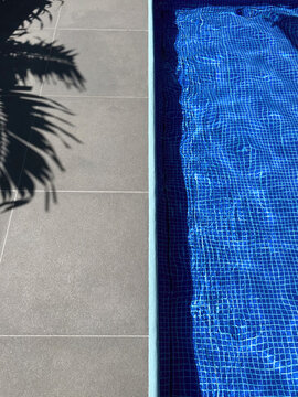 Pool Edge with Blue Tiles and Palm Shadows, Peaceful Poolside Atmosphere
