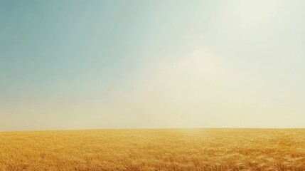 Golden Wheat Field Under a Vast Summer Sky
