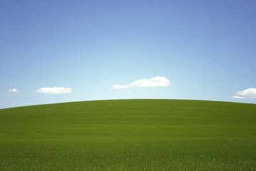 Fototapeta premium Green field and blue sky, spring nature background. Nature composition.