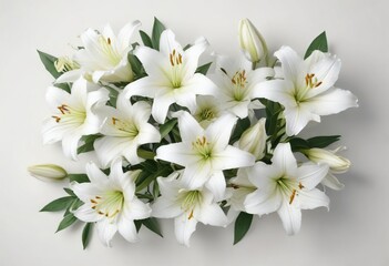 Top view of white lilies lying flat on white surface, zen, flat lay