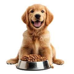 Happy Golden Retriever Puppy Sitting with Food Bowl and Kibble