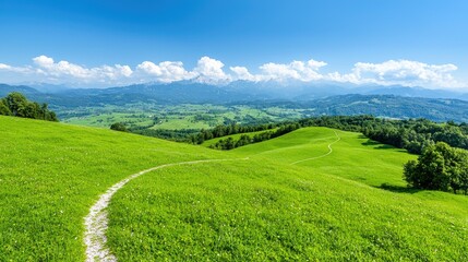 Fototapeta premium Winding path through green hills, mountain backdrop, sunny day, scenic landscape, travel photography