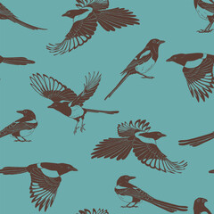 Seamless pattern with bird, magpie. Hand drawn vector illustration.