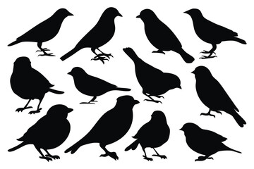 Obraz premium Sparrow silhouettes set isolated flat vector illustration on white background
