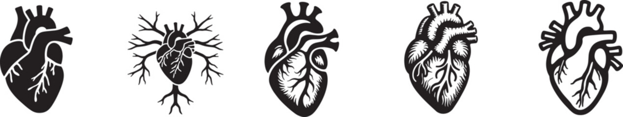 Silhouette set of Anatomical heart vector icon illustration, heartbeat, cardiovascular, anatomy, medical, health, cardiology, organ, human heart collection with white background