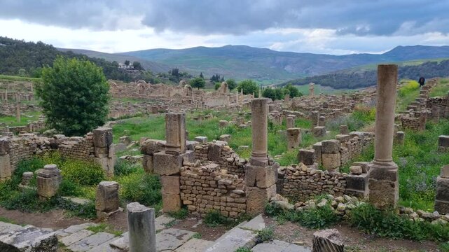 Panoramic view of the expansive Roman ruins of Djemila, Algeria, set against a cloudy spring sky, with ancient structures scattered across the lush, green landscape