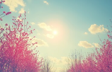 A surreal spring scene with pink flowers blooming on a tree, captured in infrared.