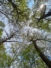 Female feet in sandals on pebble beach with sea foam
