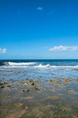 Cyprus Alagadi Turtle Beach. View from the beach to the sea. Magnificent beach, sea and blue cloudy sky. Yellow sand beach. Beach and blue sky.
