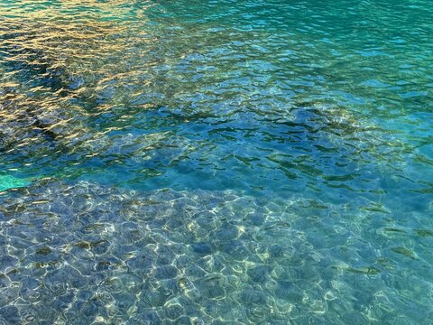 Sea crystal clear healing water with underwater algae at the bottom.