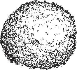 Hand draw sketch thuja bush in monochrome color. Vector illustration garden plant isolated on white background.