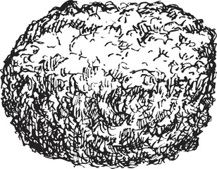 Hand draw sketch thuja bush in monochrome color. Vector illustration garden plant isolated on white background.