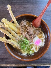 Japanese Udon Noodles with Beef and Tempura Burdock（肉ごぼう天うどん）