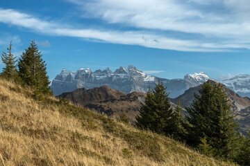 Paysage du Chablais à l' automne  , depuis le Mont de Grange  vue sur les Dents du Midi en Suisse , Haute-Savoie , Alpes , France