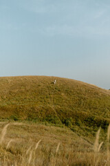 Young couple running through the hills. Love concept. Free spirit in nature. Beautiful field on the hills. Freedom concept. Uniting with nature.  Active lifestyle