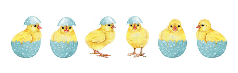 Easter mood cute funny yellow chicks collection in light-blue pastel colored eggs on white background. Hand drawn illustration set. Perfect for Easter decor designs, spring decor, rustic-themed art