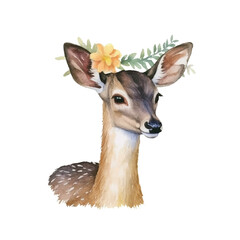 watercolor Muntjac isolated white background