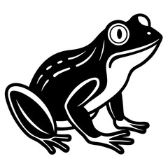 frog on a white background