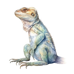 watercolor Lizard isolated white background