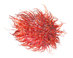 Naklejka premium Delicious ripe rambutan isolated on white. Exotic fruit