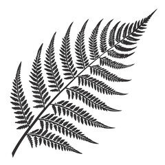Fern frond silhouette vector illustration.
