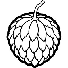 Vector Design Balsam Apple