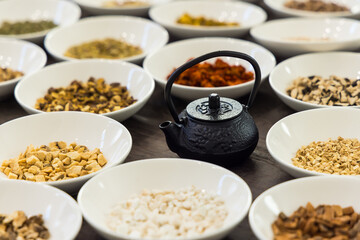 漢方薬　生薬　東洋医学