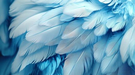 Fototapeta premium Texture Of Soft Light Blue Feathers, Close Up, Abstract Nature Background, Calming Style