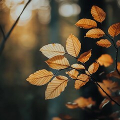 autumn leaves on the tree