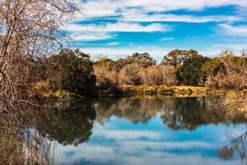 Obraz premium Sunny day at the Brazos Bend State Park