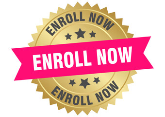 enroll now. enroll now round pink and gold label isolated on transparent background