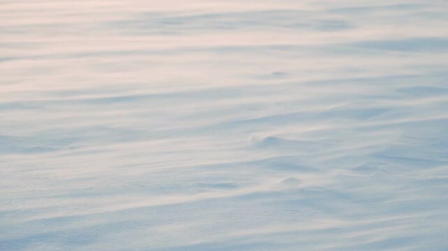 A strong wind blows snow across the snow cover. Close-up of flying snow on a snowy surface. Winter. A snowstorm.