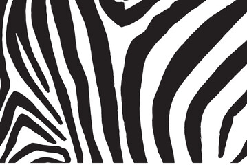 Graphical abstract illustration, zebra pattern, modern design cover for typography , vector illustration. Stripy fashion hand drawn print