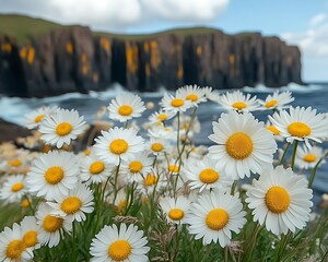 Daisies blooming in foreground with dramatic cliffs and ocean in background.