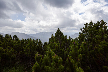 Mountain hiking at Brecherspitze mountain, Bavaria, Germany in summertime