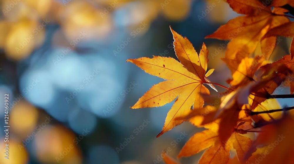 Poster closeup of vibrant autumn maple leaves in the forest : generative ai