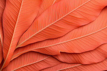 An artistic close-up of a vibrant red and orange maple leaf, with sunlight filtering through its veins, creating a dynamic and colorful background,